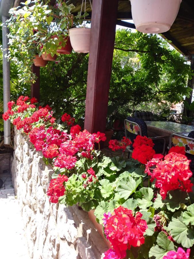 Guest House Djurdjica 드라말리 외부 사진