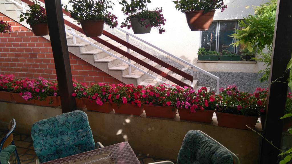 Guest House Djurdjica 드라말리 외부 사진